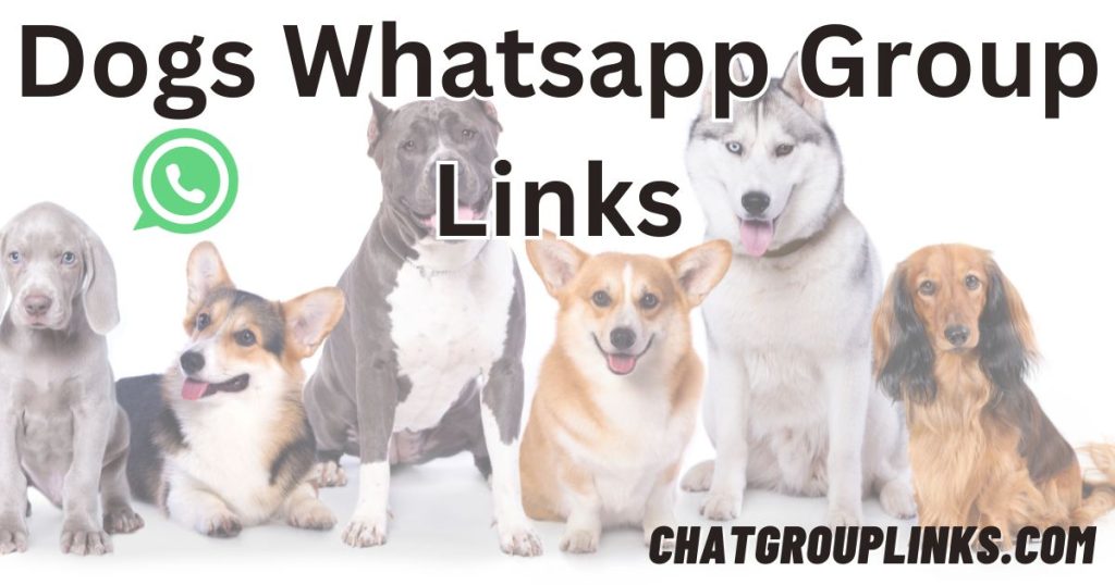 Dogs Whatsapp Group Links