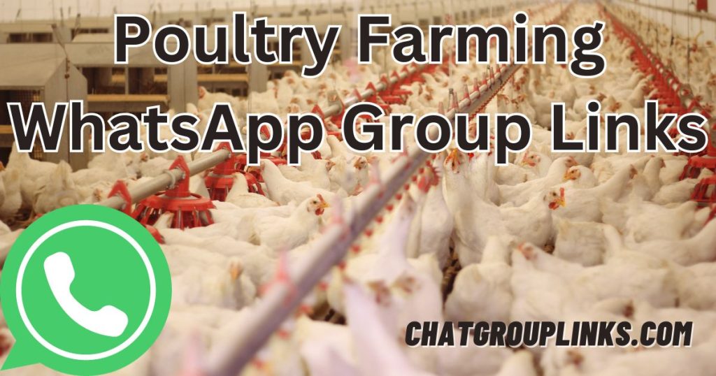 Poultry Farming WhatsApp Group Links